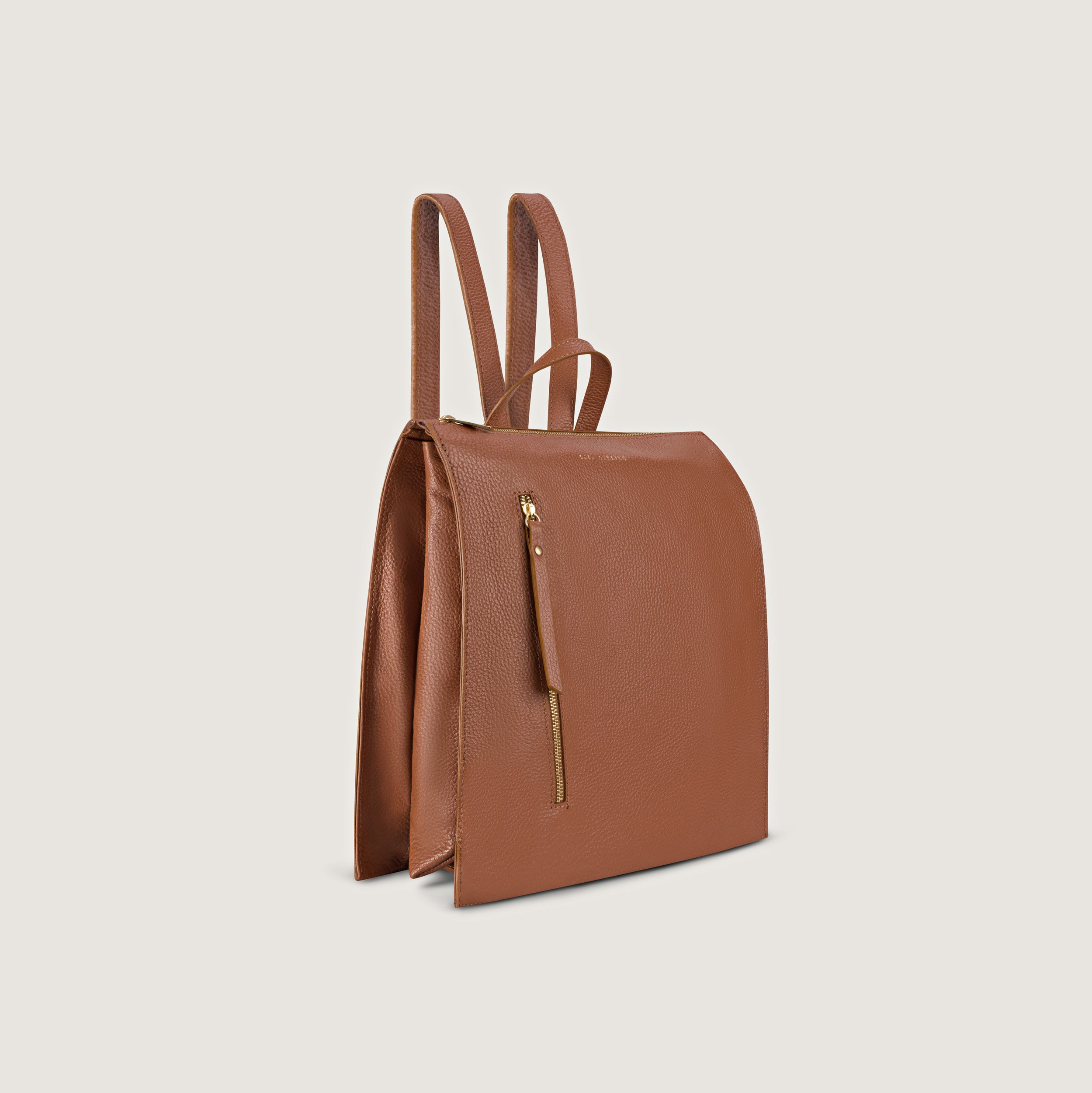 Felicita Brown Trendy Backpack