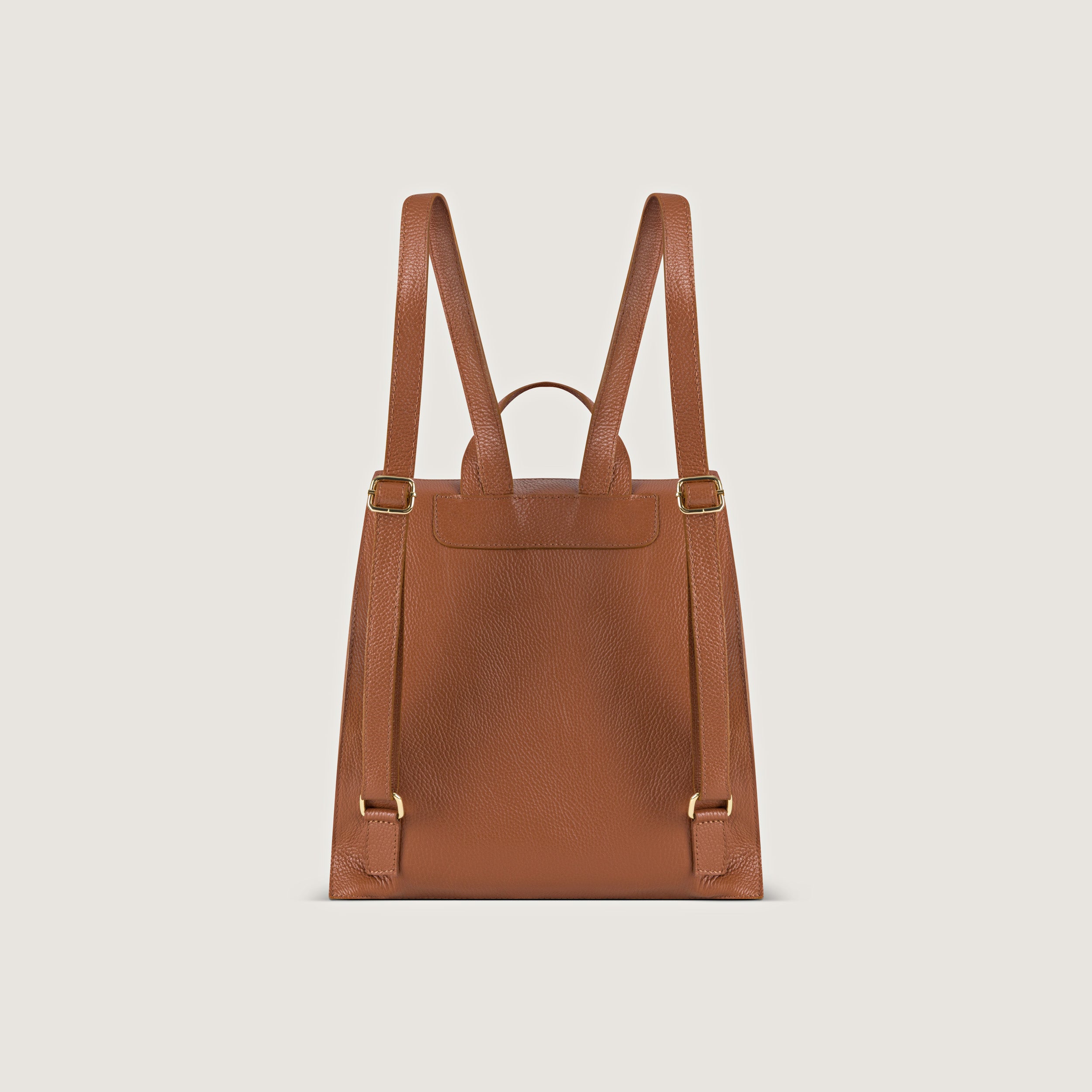 Felicita Brown Trendy Backpack