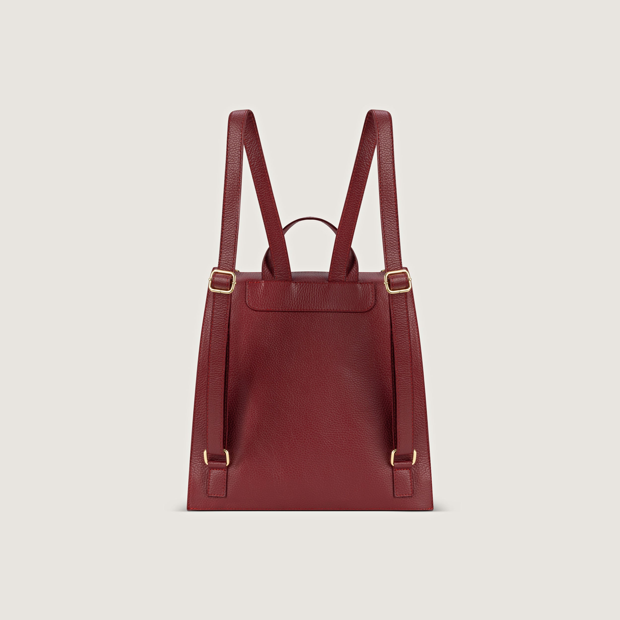 Felicita Burgundy Trendy Backpack